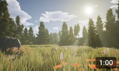 Forest clearing level