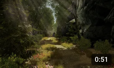 Overgrown forest path level